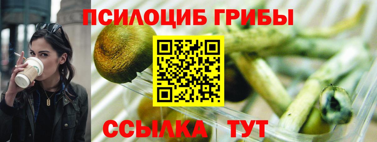 Минусинск  Галлюциногенные грибы прущие грибы  Вход с VPN  хочу   Галлюциногенные грибы Psilocybe 